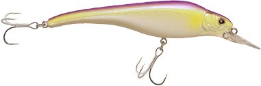 Acast minnow short lip color GV