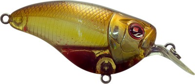 Crankster MR color BRA