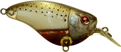 Crankster MR color BRD