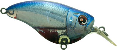 Crankster SR color BRB