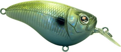 Crankster SR color D9