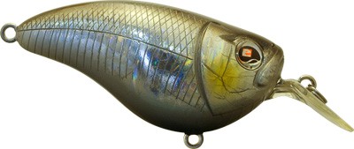 Crankster SR color O