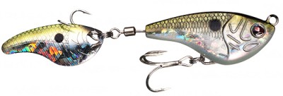 Spin Shad color D9