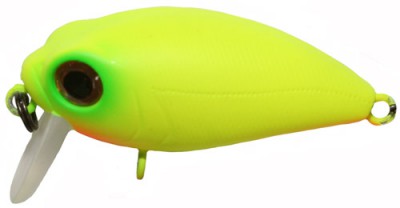 Camion Magnum SSR color 443