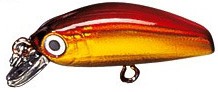 IC Minnow color 05