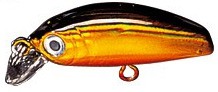IC Minnow color 06