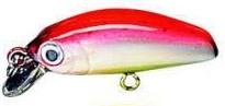 IC Minnow color 07