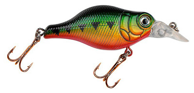 Big Belly Crankbait color 