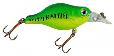 Big Belly Crankbait color Firetiger