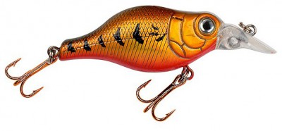 Big Belly Crankbait color Gold Shiner