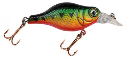 Big Belly Crankbait color Perch