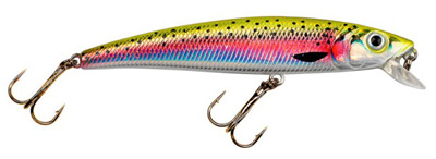 Big Eye Minnow color 