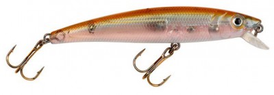 Big Eye Minnow color Transparent Shad