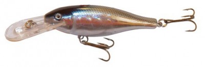 Flatshad color Mackerel