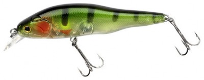Fletcher color Wild Perch