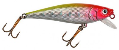 Happy Minnow color Clown