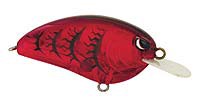 Little John color Blood Craw