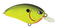 Little John color Chartreuse Black Back
