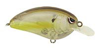 Little John color Clear Chartreuse