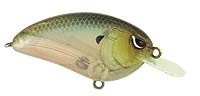 Little John color Spooky Shad