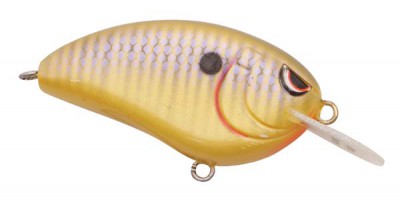 Little John color Sunny Bream