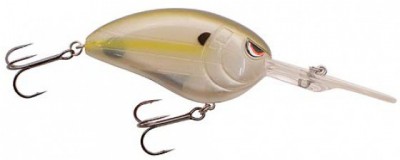 Little John DD color 