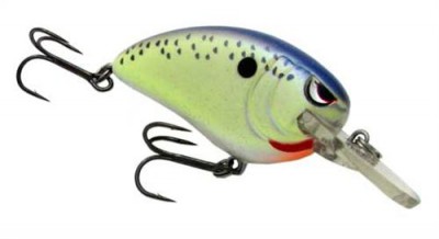 Little John MD color 