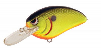 Little John MD color Chartreuse Black Back