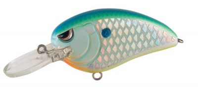 Little John MD color Citrus Shad