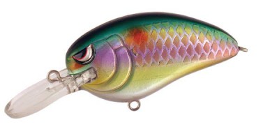 Little John MD color Old Glory