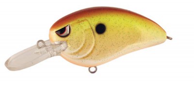 Little John MD color Rootbeer Chartreuse