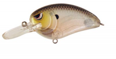 Little John MD color Spooky Shad