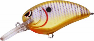 Little John MD color Sunny Bream