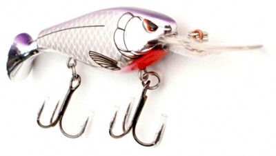 Madeye Shad25 color Purple flash