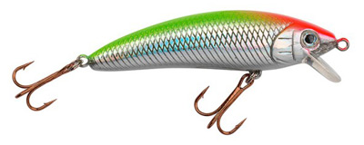 Minnow color 