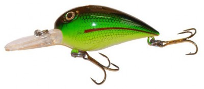 Mr. T DD color Perch