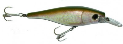 Pike Fighter I DD color 