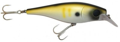 Pike Fighter I MW color Mat Black Yellow