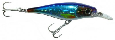 Pike Fighter Junior color Blue-Shiner