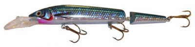 Tailwacker color Blue Shiner