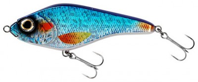 The Rapper color Blue Shiner