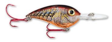 Big Bass Square color 868