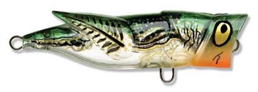 Hopper Popper color 524