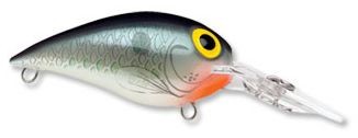 Wiggle Wart color 
