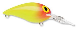 Wiggle Wart color 336