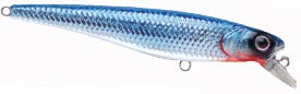 WildEye Minnow color MSBL