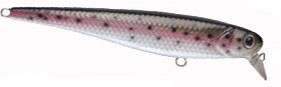 WildEye Minnow color RT