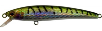 Alpha Minnow color 184E