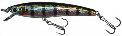 Alpha Minnow color 630V