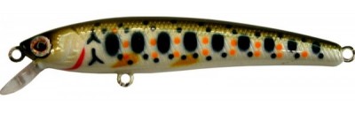 Alpha Minnow color A51T